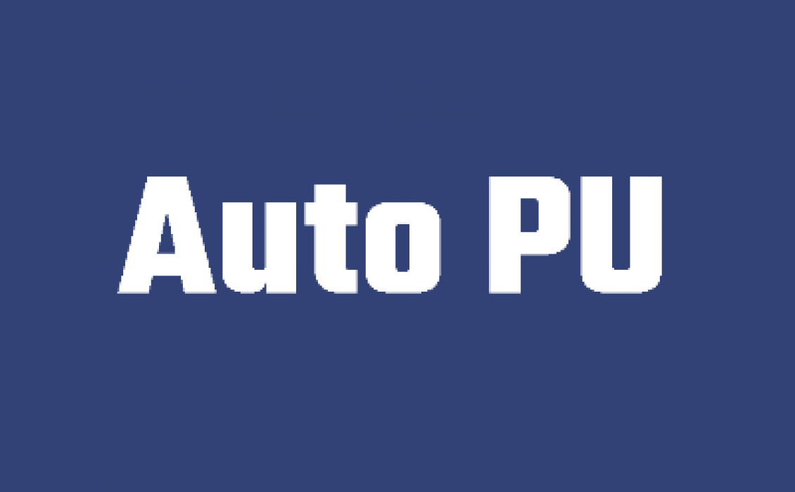 logo Auto PU